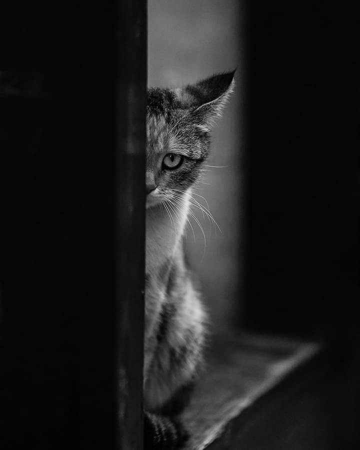 Чем заняты,в твиттере зависате?