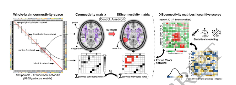 PrazNeuro tweet picture