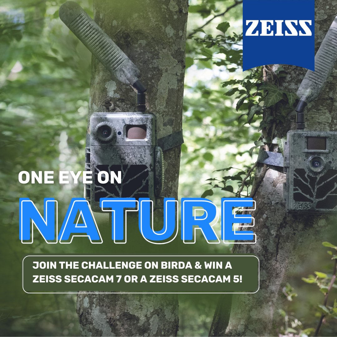 Only 7 days left to win a ZEISS Secacam 7 or a ZEISS Secacam 5!! Log 5 species on Birda before 17th April to be in for a chance to win some amazing ZEISS prizes! What will you discover? #birdwatching #zeiss #trailcamera #birdchallenge