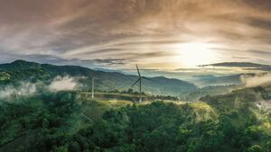 Wind energy and bat conservation: scientists call for the global application of measures to reduce fatalities: izw-berlin.de/en/press-relea…