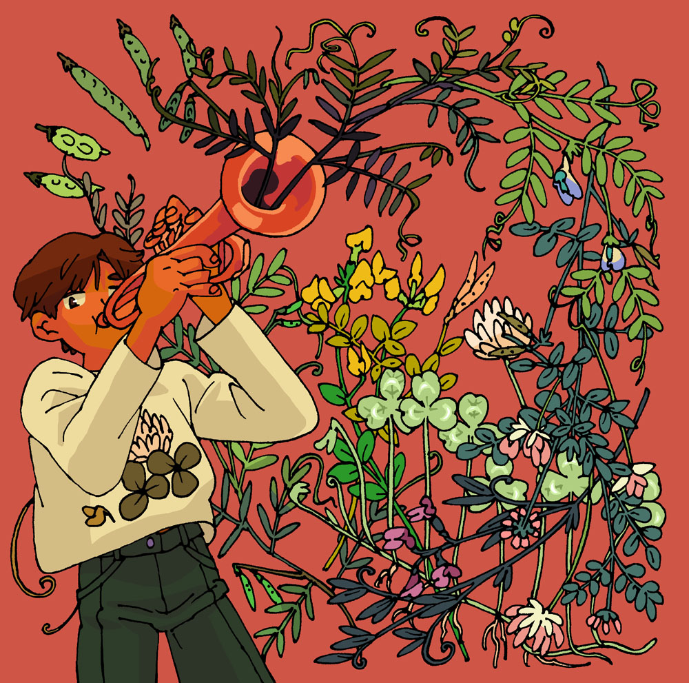 あら不思議、吹くとマメ科の植物が出てきた🫛