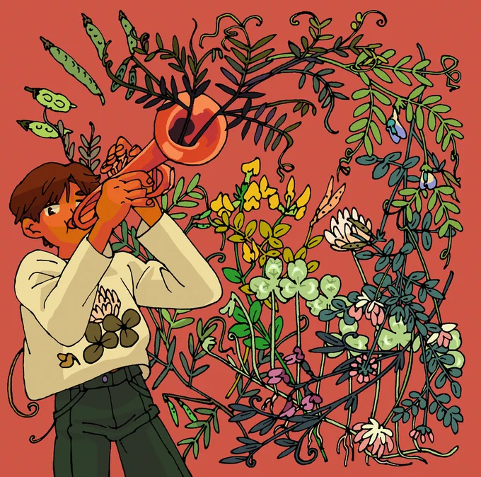 あら不思議、吹くとマメ科の植物が出てきた 