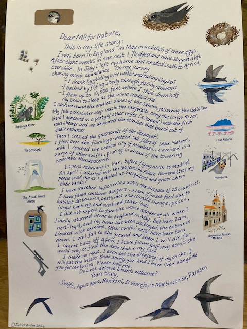 'Do I not deserve a hero's welcome?' Please retweet, ask your MP to challenge @michaelgove in HoC 21st April: 'When will he finally commit to legislation requiring new builds to include swift bricks?' @DerbyshireSwift @SheffSwiftNet @LancasterSwifts @LeedsSwifts @WriterHannahBT