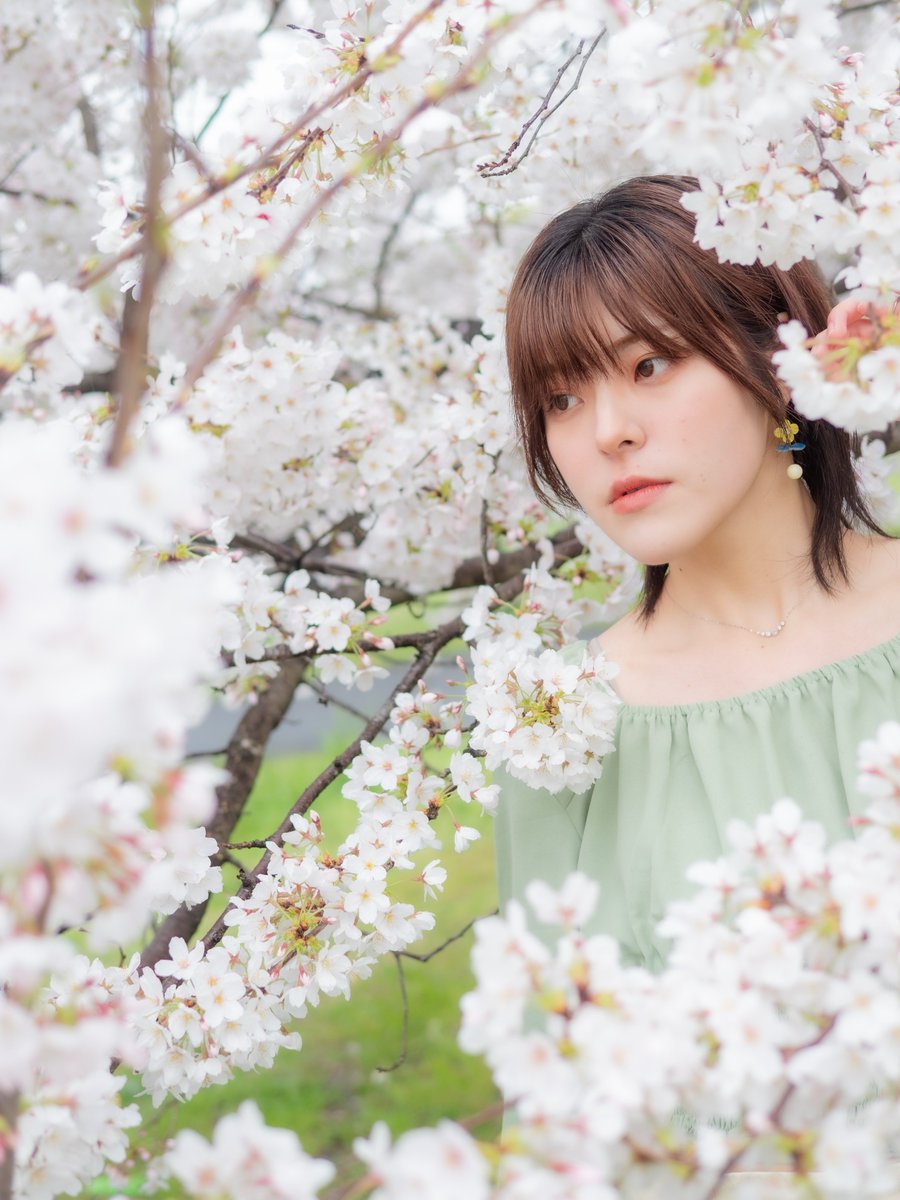 満開🌸さくらとネモフィラ企画 2024/4/6 location:舎人公園 model:#とた さん @hato_amatou #桜 #朝撮 #ポートレート #portrait #ファインダー越しの私の世界