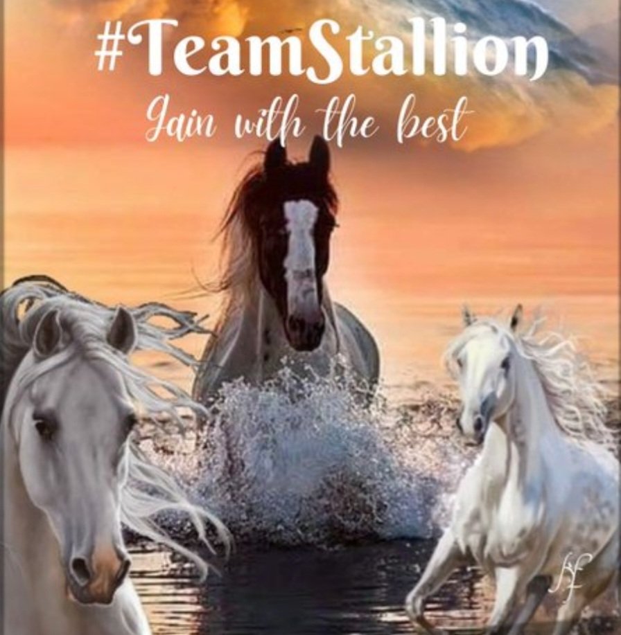 #TEAMSTALLION @italianostyle2 @MarEthr @BrettMGWV2 @BrettMGWV @monicampon @MarthaCandia21 @R3_Adv @MoniT__ @GRAHAM15583070 @ginestarros @JIMENAC__ @moni_dollnature @MarcelaErcia @jasmine50012486 @doc_mazz @lumpie125 @MARTHA_CAN2 @nuvisionquestt2 @ginaaaaa24 @bluea125 @Siogo61