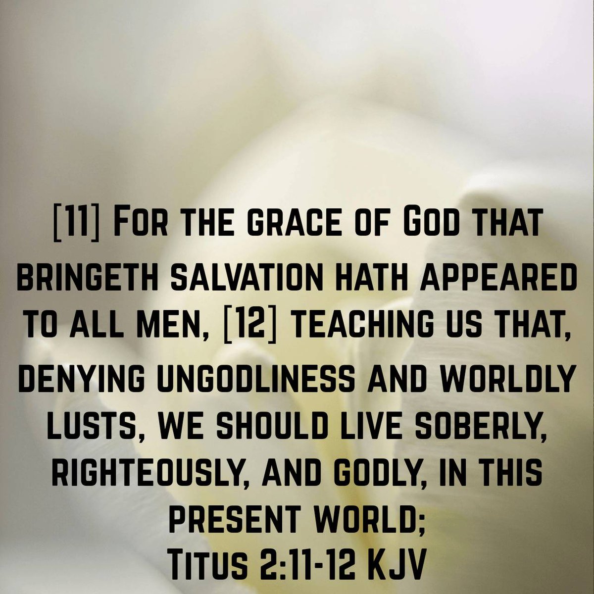 Titus 2:11-12 KJV [11] For the grace of God that bringeth salvation hath appeared to all men, [12] teaching us that, denying ungodliness and worldly lusts, we should live soberly, righteously, and godly, in this present world; bible.com/bible/1/tit.2.…