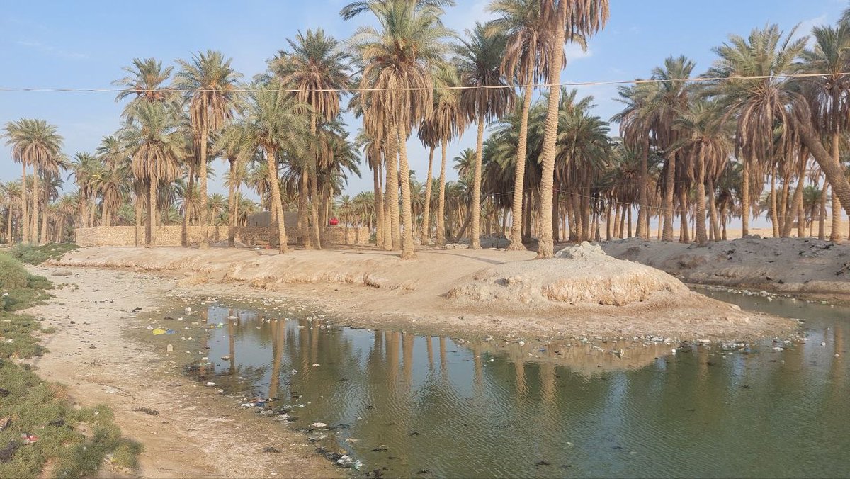 The painful part of the story is that you see natural #heritage features that have been standing for millennia in #Mesopotamia and are now dramatically #vanishing: the marshes, the water springs and the rivers. Why and why is it happening now? I will talk in this crucial workshop