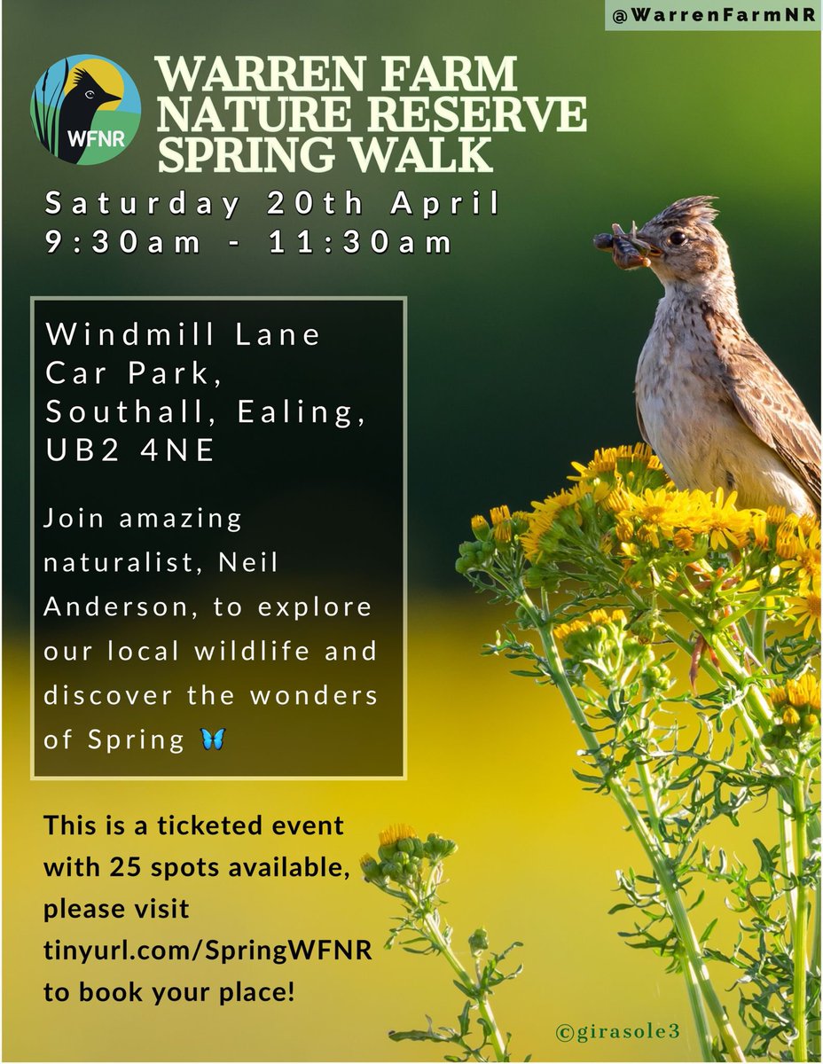 💚SPRING WALK #WarrenFarmNR💚Come join amazing naturalist Neil Anderson to spot Wildflowers coming into bloom, migrant birds like Wheatears, our singing Skylarks, Butterflies & so much more!☺️🦋🌸🕊️25 FREE tickets here👉🏼tinyurl.com/SpringWFNR #TwitterNatureCommunity #SpringVibes