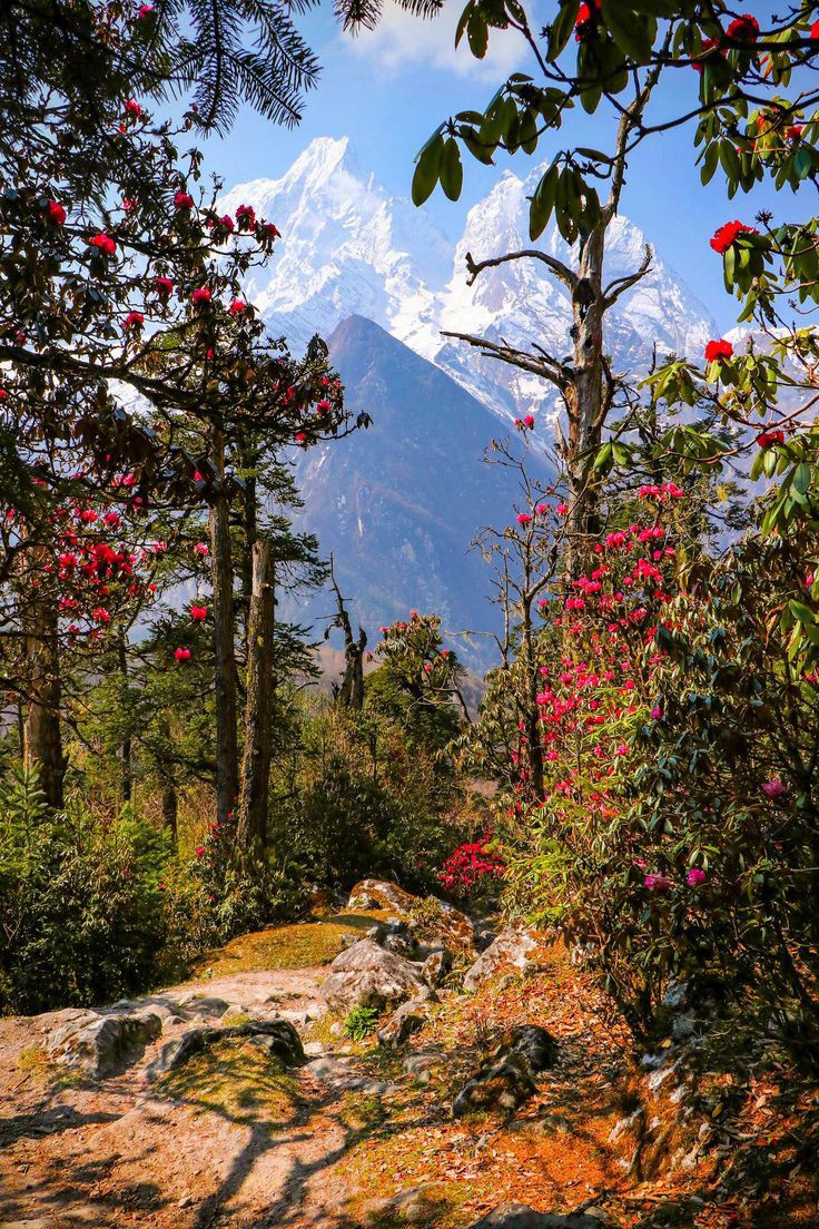 The Last day of the Manaslu Circuit Himalaya'S 💚 Nepal.❣️

#NatureLoversUnite