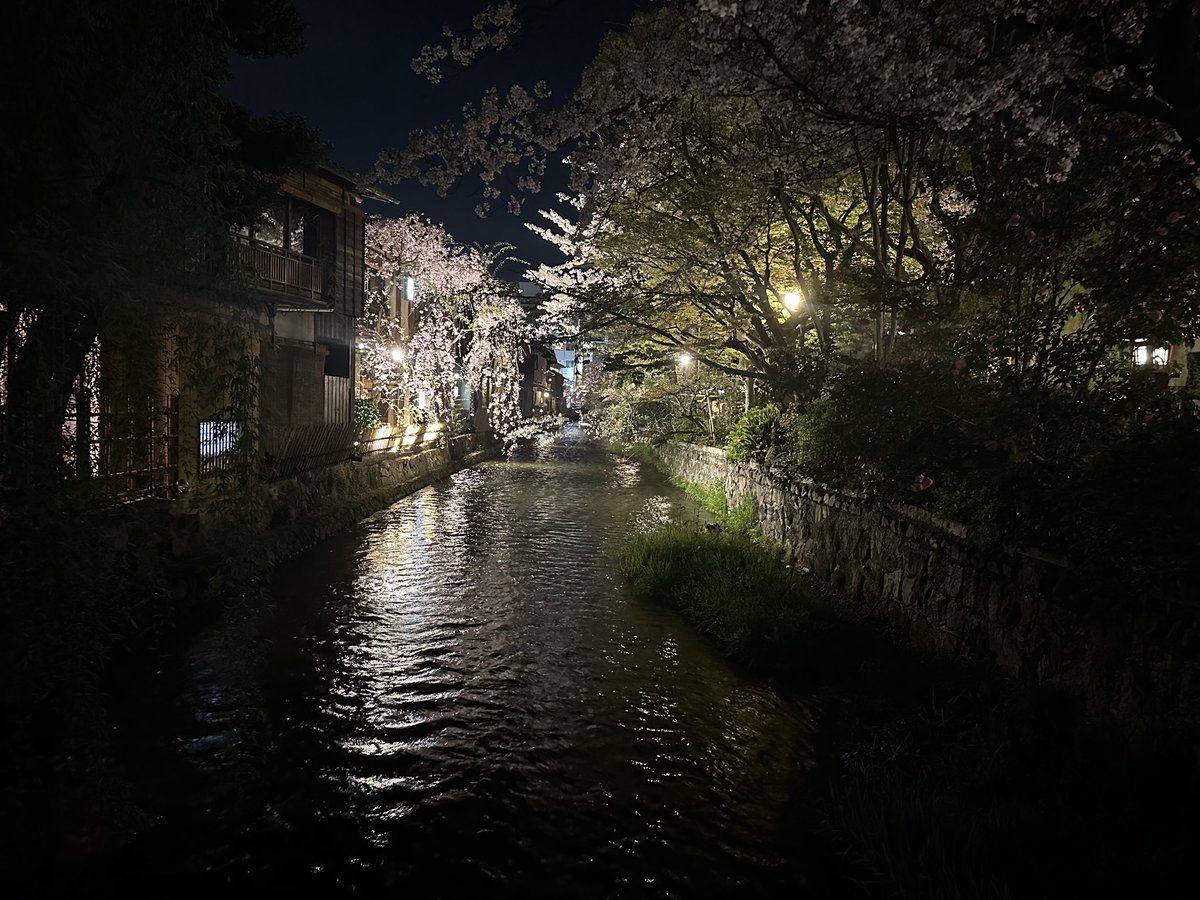 TF_0826's tweet photo. 夜の祇園白川は想像以上 https://t.co/HOZzDe9ZRo