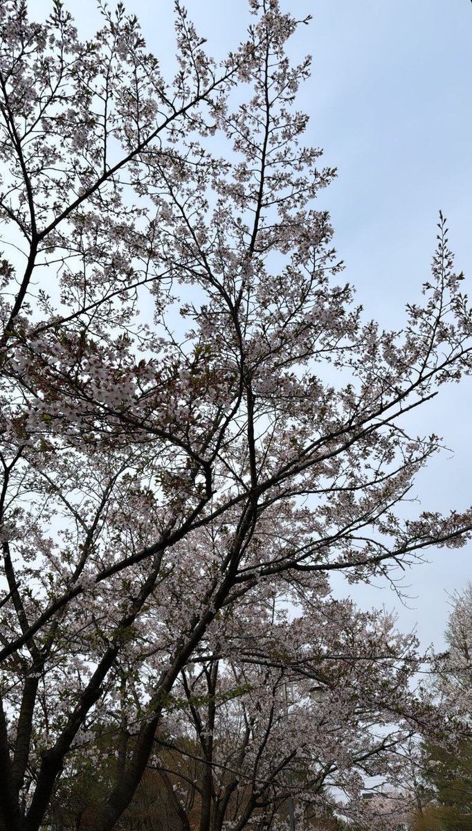 spainkimwoojin's tweet photo. [INSTA-STORIE📸] 24.04.10 Actualización de Kim Woojin en sus historias de su cuenta personal en Instagram 

#KIMWOOJIN #김우진 #Kustomade #SMEntertainment https://t.co/owsfVNTlbQ