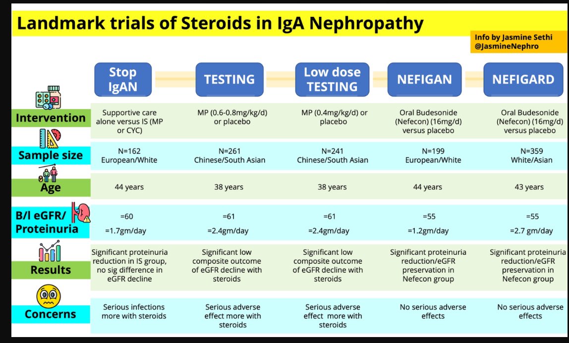 🤔All about IgA Nephropathy 

🤷‍♀️Second most commonest GN (Most common being Glomerular involvement in Preeclampsia) 

👇Approved drugs -Dapagliflozin/Budesonide/Sparsentan 

Many 💊in pipeline 

@NephJC 

@ISNkidneycare