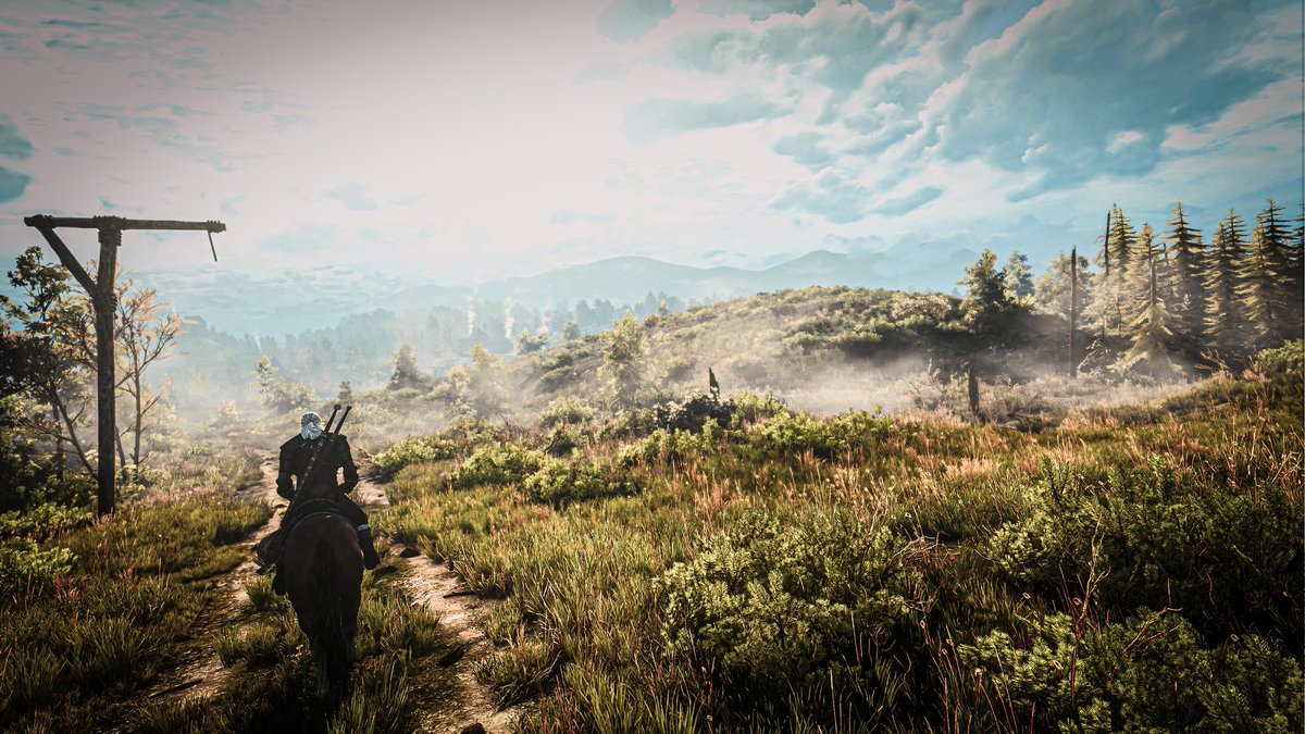 No man's Land

#Thewitcher3 
#virtualphotography