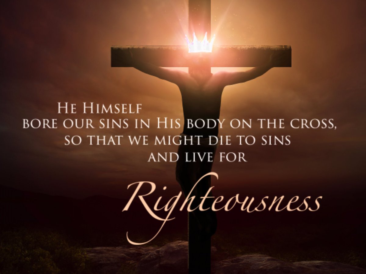 Who His own self bare our sins in His body on the tree, that we being dead to sins, should live unto righteousness: by whose stripes ye were healed. For ye were as sheep going astray; but are now returned unto the Shepherd and Bishop of your souls. ~1 PETER 2:24-25 (KJV)