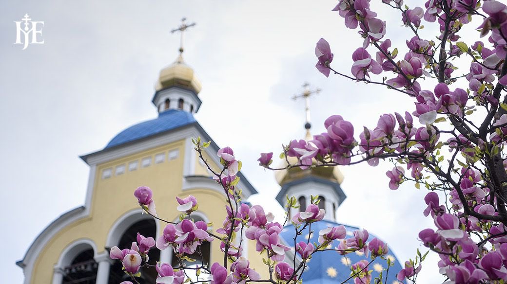 Все, що нас оточує – довкілля, природа – це все відблиск Божої милості до нас. Жива й нежива природа відображає красу і довершеність задумів Творця, і саме вона є одним із джерел, де ми можемо черпати натхнення, розраду і умиротворення в ці тяжкі часи випробувань. Побачте,…