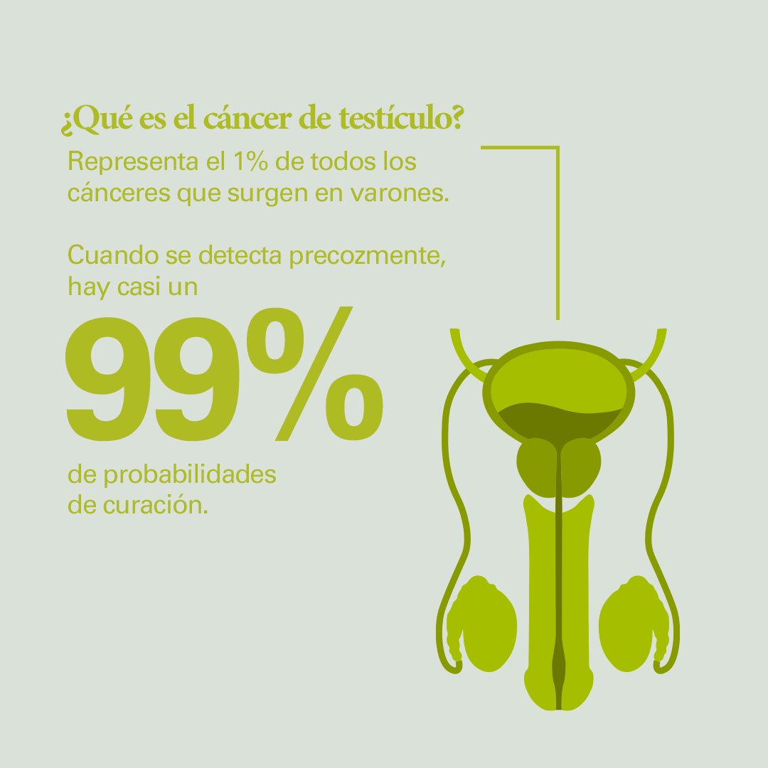 ¿Sabías que el #CáncerDeTestículo afecta sobre todo a jóvenes de entre 20 y 34 años? Descubre los síntomas, diagnóstico y tratamiento de este tipo de #cáncer➡ bit.ly/3OLMQoq.