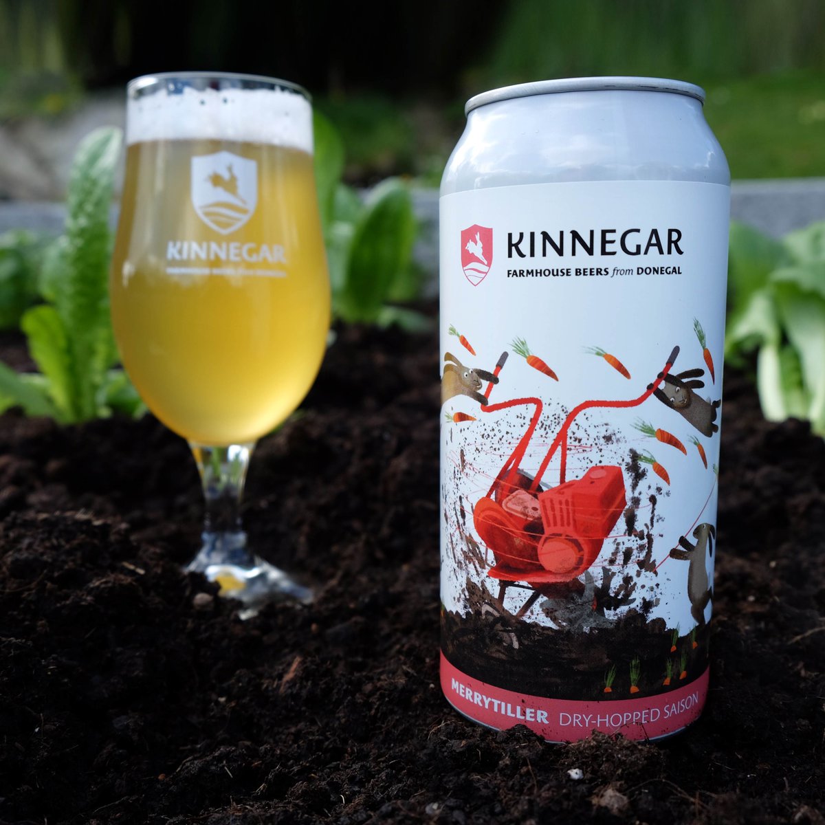 MERRYTILLER SEASON Like every good farmer we rotate our crops here at Kinnegar. Last year the Merrytiller acre lay fallow but this year it's back in tillage with an abundant crop of our much-loved dry-hopped Saison. Available now from usual outlets and 24/7 from our Webshop.