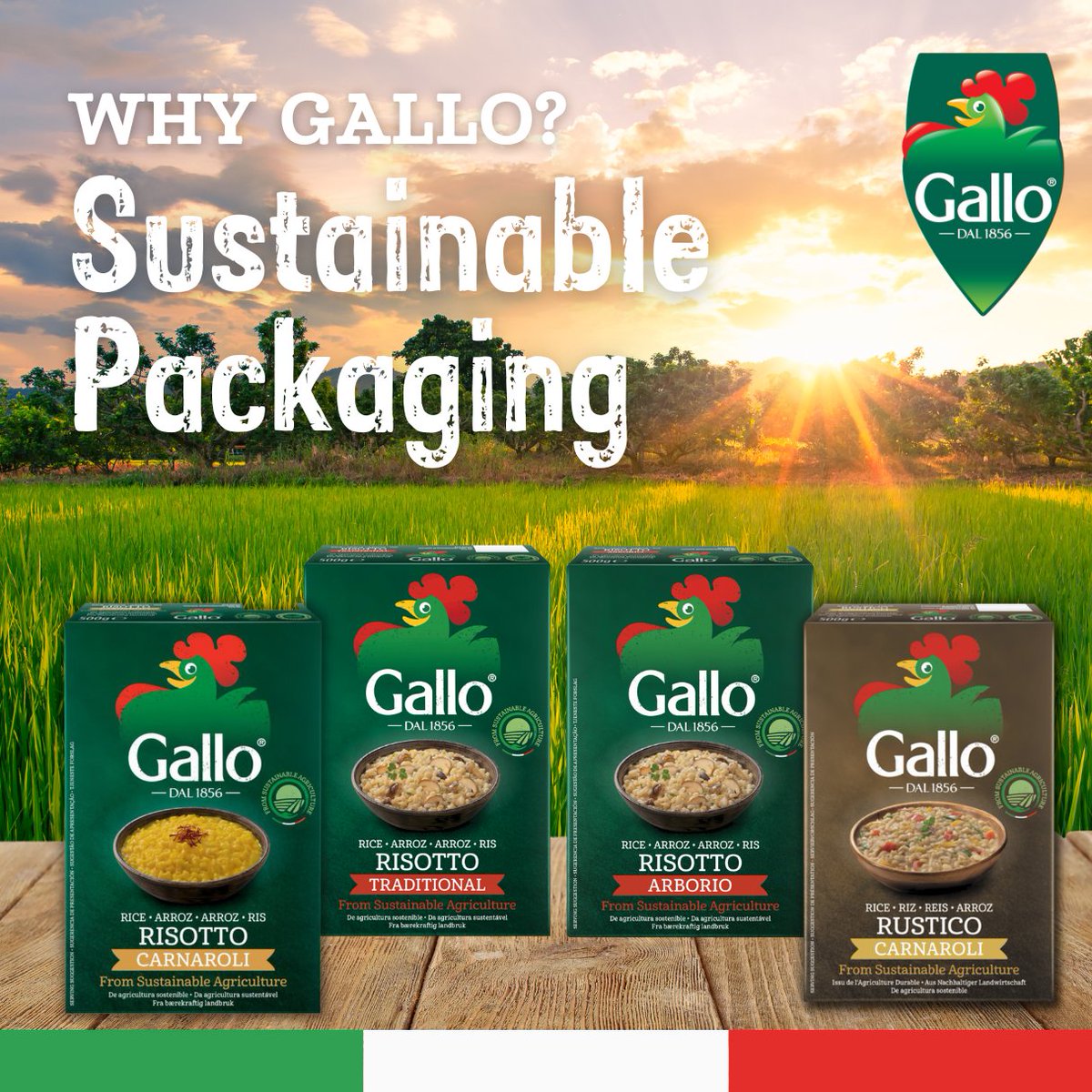 The Gallo Risotto Traditional, Arborio, Carnaroli, and the Carnaroli Rustico are now in packs using FSC certified cardboard outer to protect the grains. #risotto #risottorice #sustainablerice #sustainablebrand #sustainability #RisoGallo
