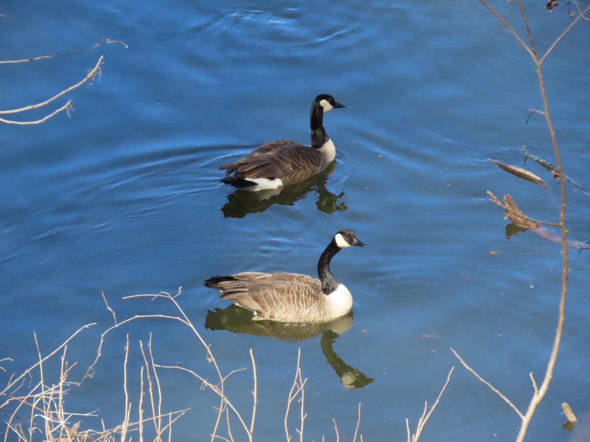 'Be there for others, but never leave yourself behind.' ~ #Dodinski #thinkingoutloud #quickquotes #WednesdayWisdom #WednesdayMotivation #BeThere