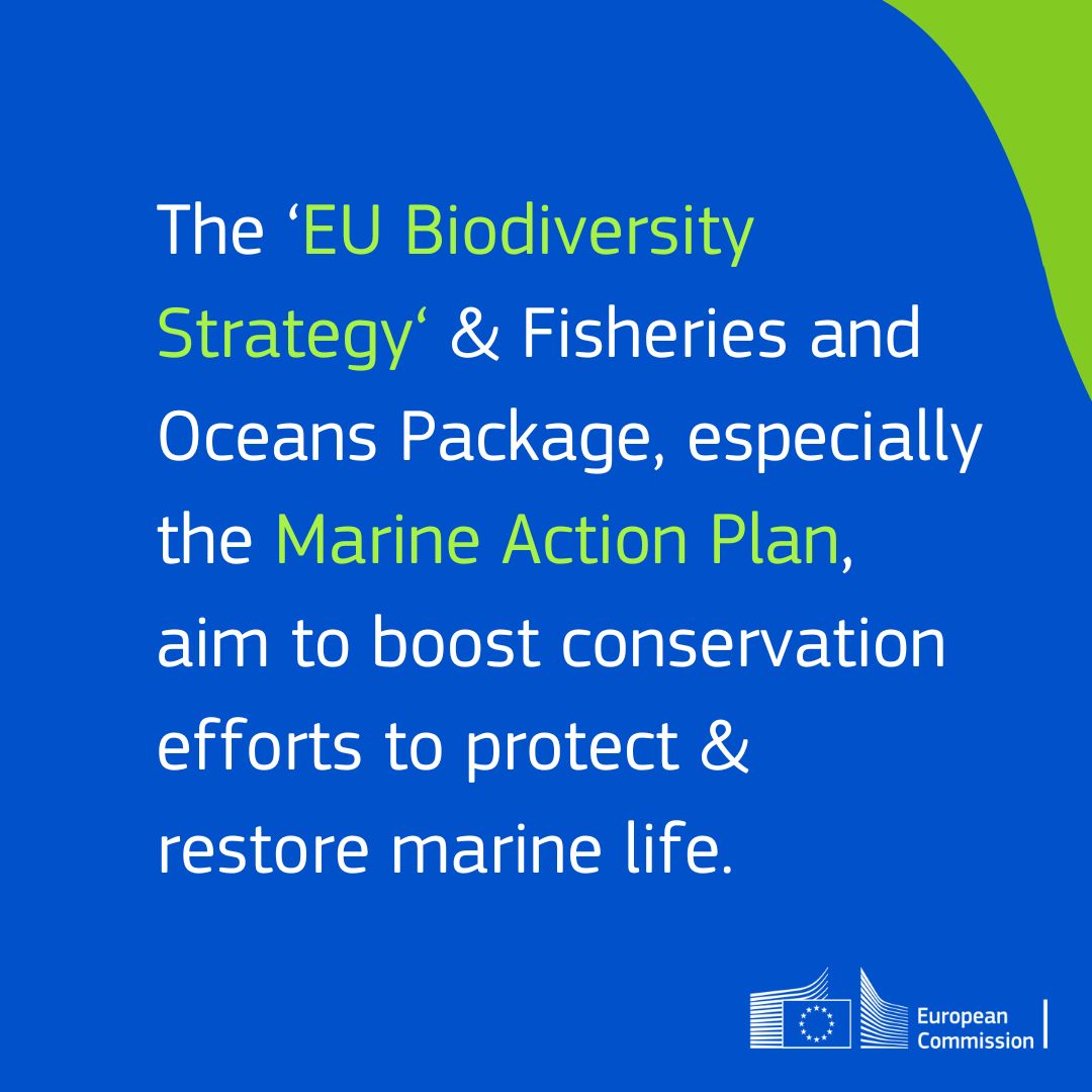 EU_MARE's tweet photo. Preserving #marine #biodiversity is crucial.
The #ocean makes up 90% of the livable space on the planet & contains 250,000 known species - w/ many yet to be discovered.
Over the past 5 years, the EU has put in place several initiatives to protect our ocean.
#KeepingOurPromises https://t.co/KhBxCUUaAo