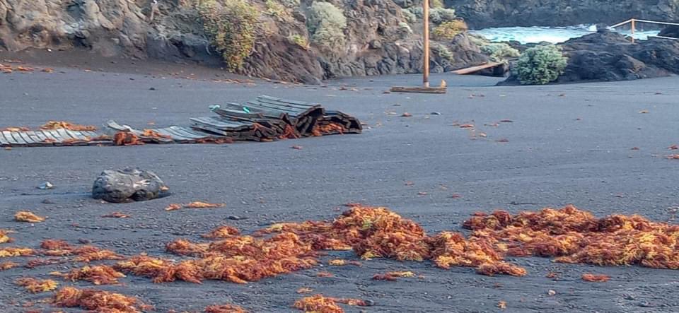 🚨URGENTE🚨CIERRE TEMPORAL LA PLAYA DE LOS CANCAJOS Y PASEO MARÍTIMO HASTA PREVIO AVISO⚠️Presumiblemente se mantendrá cerrado hasta el viernes, ambos espacios, y a partir d ese día posiblemente se mantendrá cerrada una parte d la playa. Debido a destrozos mal tiempo. Informaremos