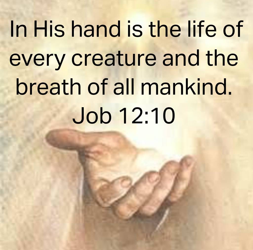 In His hand...is LIFE!