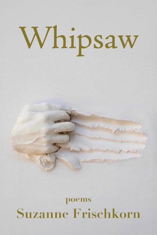 It’s Publication Day —WHIPSAW is officially out from @Anhinga_Press! rb.gy/v8gia9
