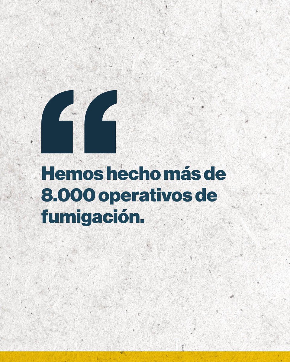 Trabajamos con operativos en los espacios públicos y, también, ofrecimos a quienes dieron positivo fumigar sus casas.