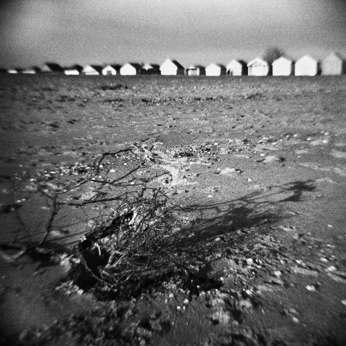 The Point Diana F+ #filmphotography #believeinfilm #kentmere400