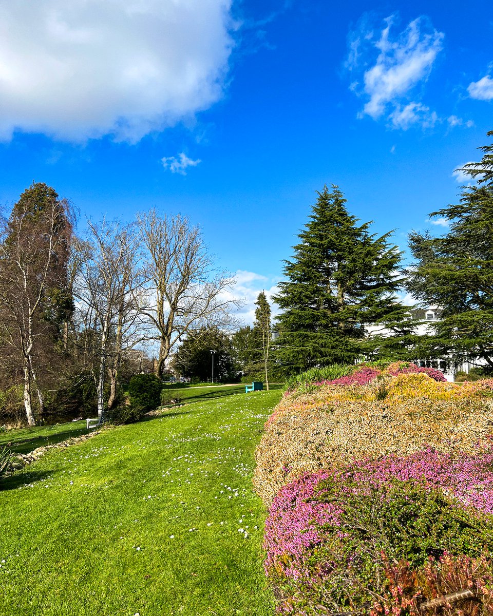 Spring vibes at Park Campus are just unbeatable! 😍🌸 From our chilled campus geese wandering around to flowers blooming everywhere, it’s all looking pretty beautiful. Here's hoping for more sunnier days to come! 🤞🦢