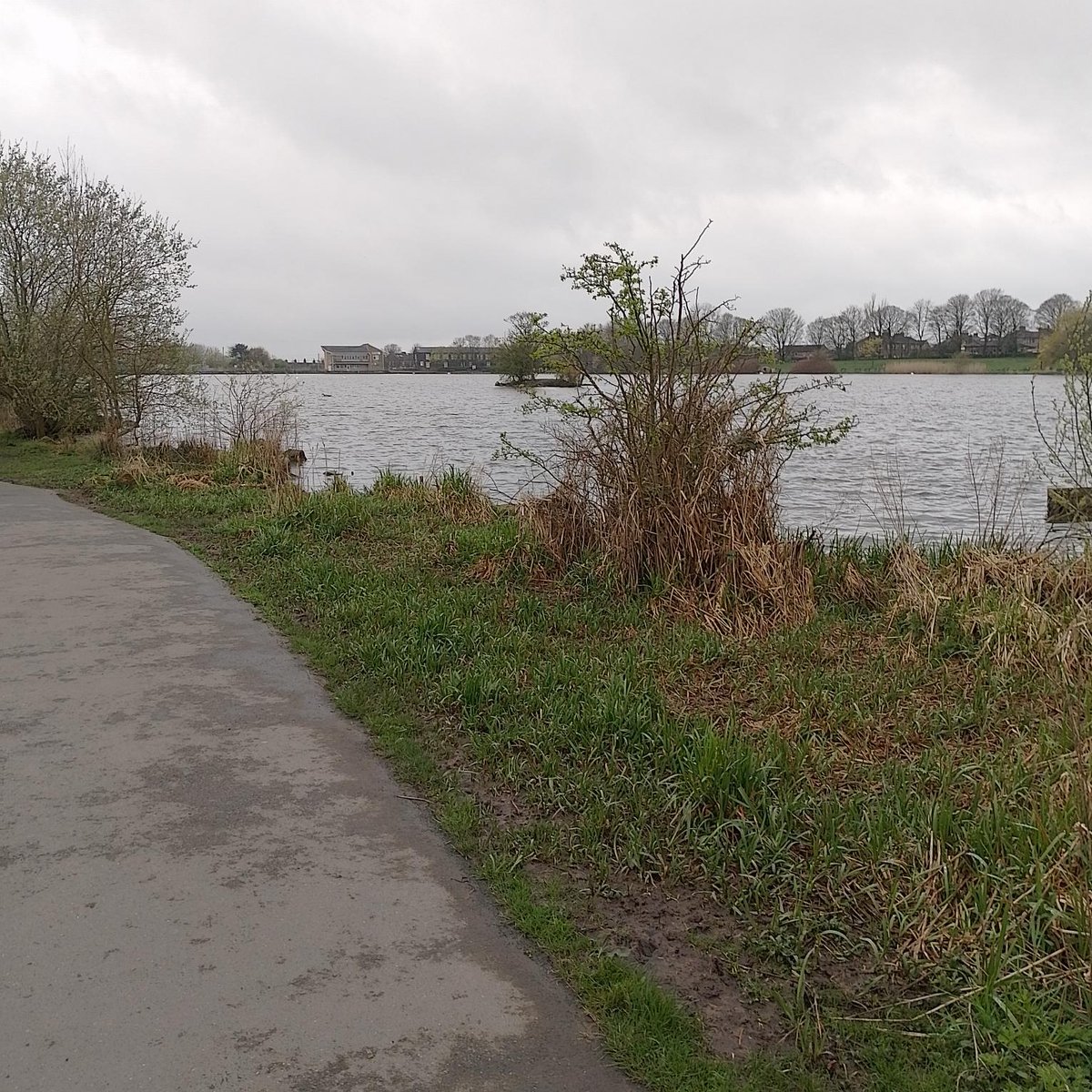 Joe had a walk around Yeadon Tarn with Chris and Jason where they saw some swans and geese resting on the waterside. Thankfully, they made it back to Mabgate before the downpour, for a lunch of homemade sausage and chips 🚶‍♂️🏞️🌭🍟#autism #inclusion #daysout