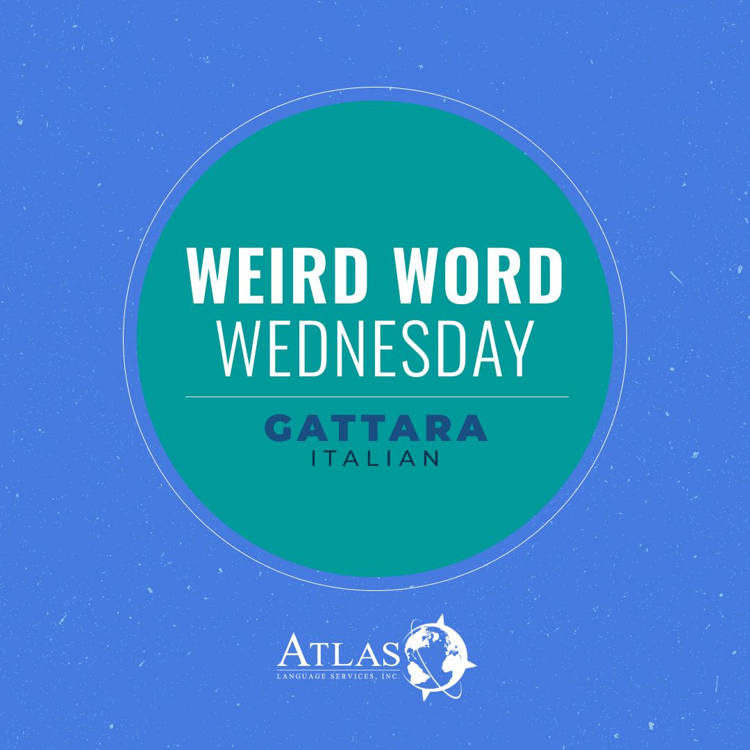 🐱 Ever heard of the Italian term 'gattara'? It's more than just 'cat lady' - it's a cultural phenomenon! Tag your favorite cat lover below and share the love for our feline friends! 🇮🇹

#AtlasLS #translationservices #languageservices #languageindustry #WeirdWordWednesday