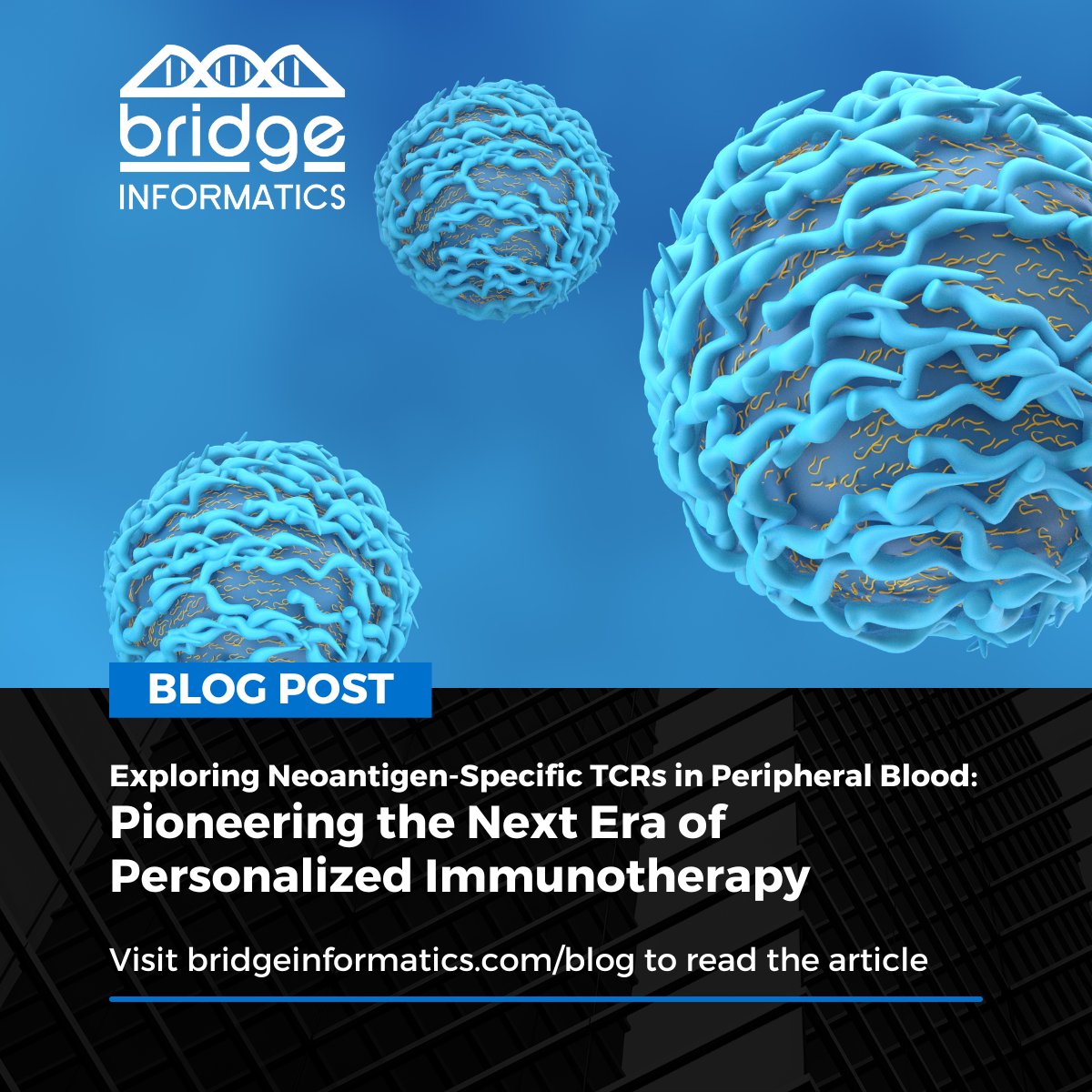 ICYMI: Explore the use of peripheral blood leukocytes (PBLs) in cancer patients as an alternative source of neoantigen specific anti-tumor T-cells and T-cell receptors (TCRs) for immune monitoring and personalized immunotherapies. bridgeinformatics.com/exploring-neoa…