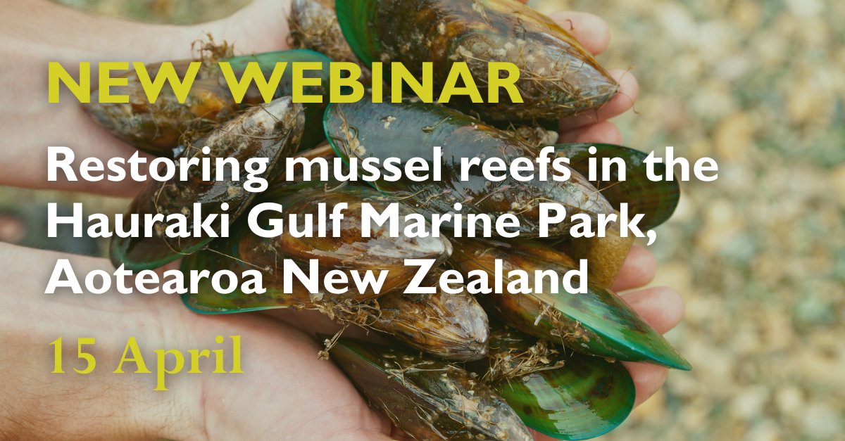 New learning opportunity! Join our webinar on 15 April: 'Restoring mussel reefs in the Hauraki Gulf Marine Park, Aotearoa New Zealand' Register: us02web.zoom.us/webinar/regist… #SeabedRestoration #ecologicalrestoration #generationrestoration