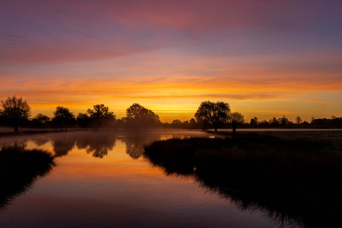 Much to my delight just after actual sunrise this happened (may need a click) #BushyPark 10.04.24 @theroyalparks @TWmagazines @Teddington_Town @TeddingtonNub @SallyWeather @itvlondon @Visit_Richmond1 @twickerati @WildLondon