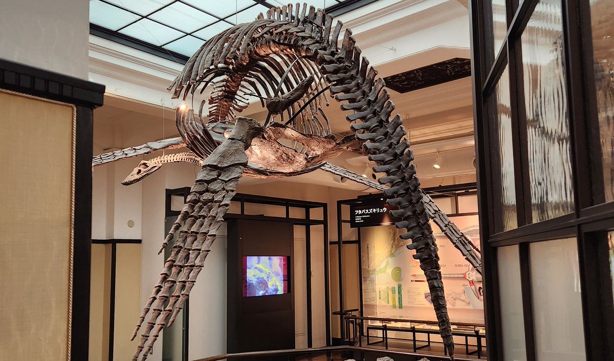 科博で見れる好きな古生物達！
バシロサウルス
アルシノイテリウム
デイノテリウム
フタバスズキリュウ