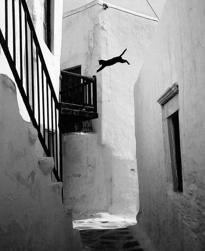 На время покину вас