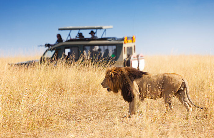 A safari tour in Tanzania.