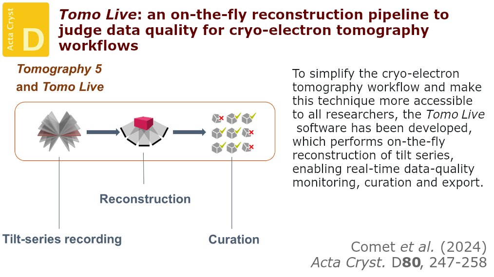 Tomo Live, an on-the-fly solution that automates the alignment and reconstruction of tilt-series data, enabling real-time data-quality assessment, is described and representative results are presented #ElectronTomography #RealTimeProcessing #CryoET doi.org/10.1107/S20597…