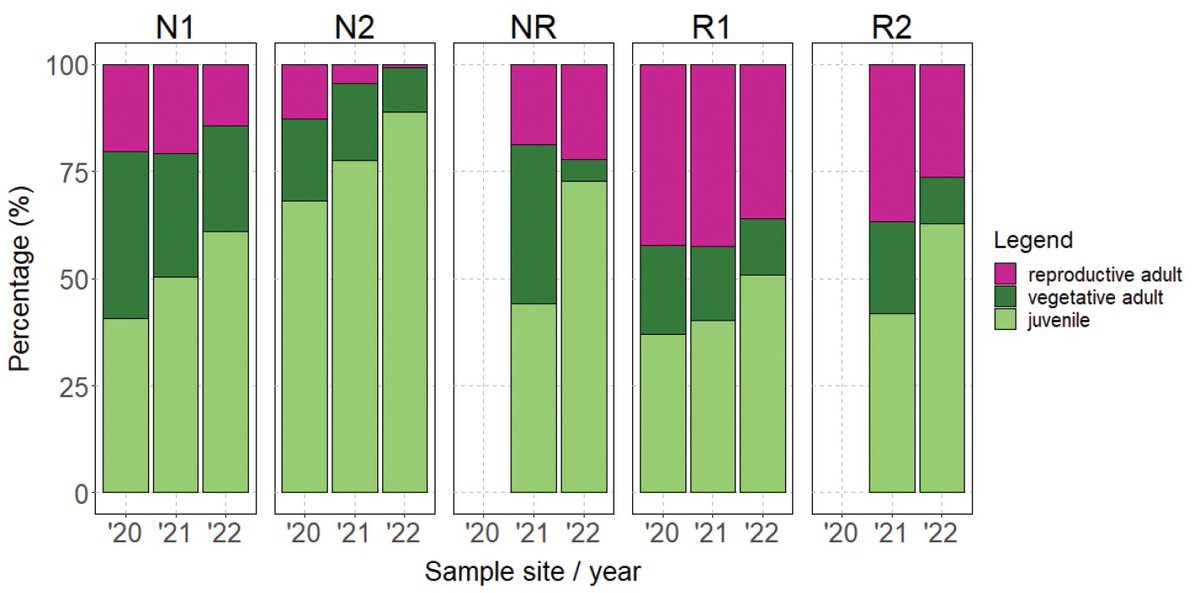 The greater the presence of Robinia pseudoacacia, the more it affects Erythronium dens-canis populations, challenging native species #conservation. 🔗 doi.org/10.3897/nature… #biodiversity