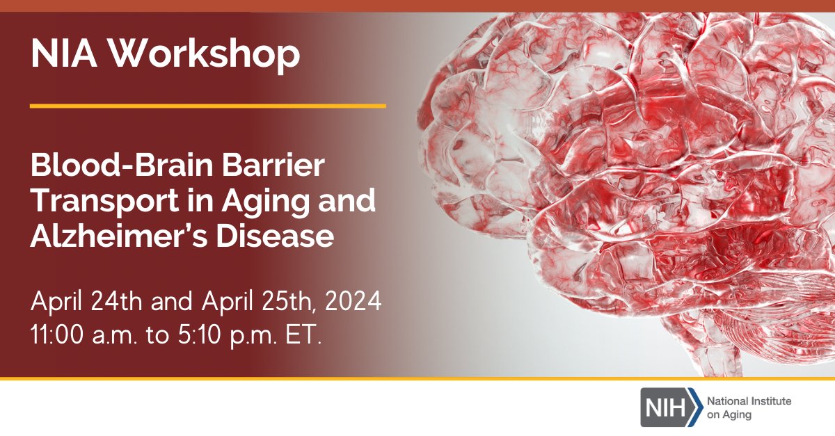 Are you a researcher interested in learning about the mechanisms of blood-brain barrier transport, how they’re affected in aging & #Alzheimer’s, & how they can be utilized to enable drug delivery to the Central Nervous System? Check out this NIA workshop: nia.nih.gov/research/dn/wo…