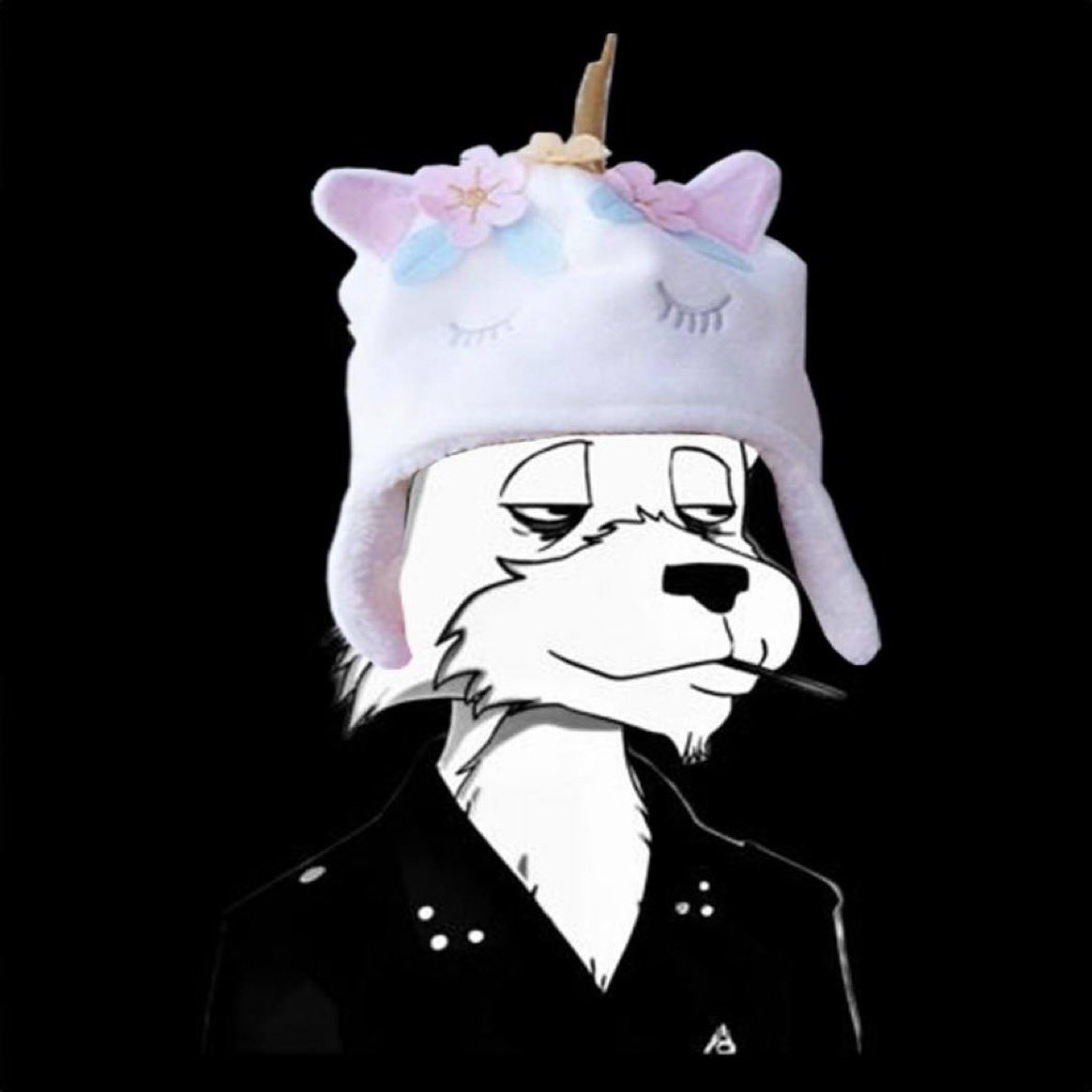 <a href="/W0LF0FCRYPT0/">The Wolf Of Crypto Streets</a> Nice Hat