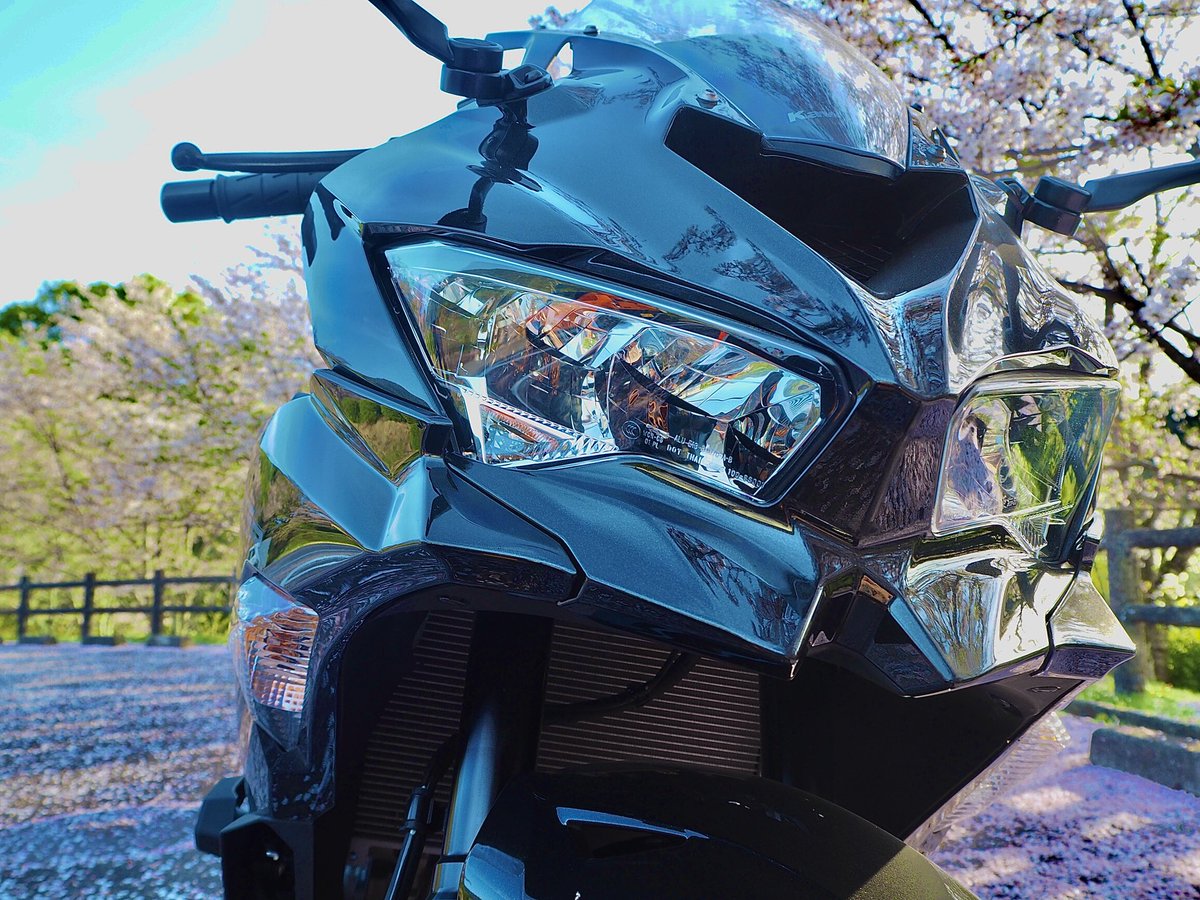 .

もう葉桜になってた🌸🍃
新しい一眼レフ欲しいデス。。

#kawasaki #zx25r #バイク好きと繋がりたい #バイク乗りと繋がりたい #バイクのある生活