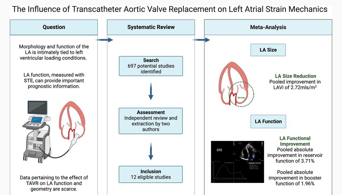 🌟 Just published under #EHJIMP 🌟 LA strain mechanics & TAVR ➡️ significant negative LA remodelling, & improvement in LA mechanics, quantified by STE ➡️ academic.oup.com/ehjimp/advance… @EACVIPresident @alessia_gimelli @ShehabAnwer @EZancanaroMD @Sarah_Moharem @VDelgadoGarcia