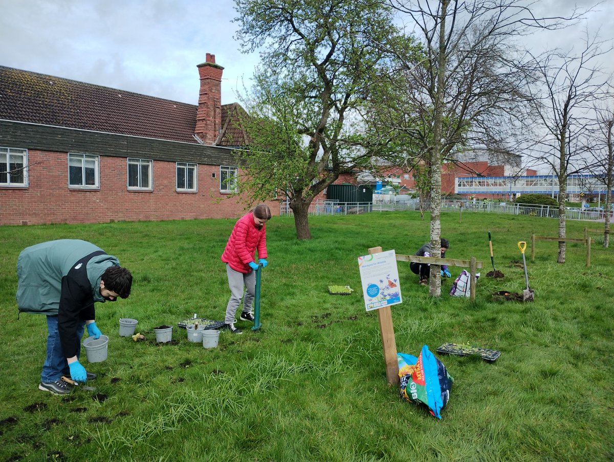 Sustainability team planting session with our Nature Recovery Ranger last week at Broadgreen! Planting out lots of primrose and cowslip plug plants to compliment our wildflower lawn and provide some early sources of food for pollinators 🐝 #biodiversity #GreenerNHS #NWGreenerNHS