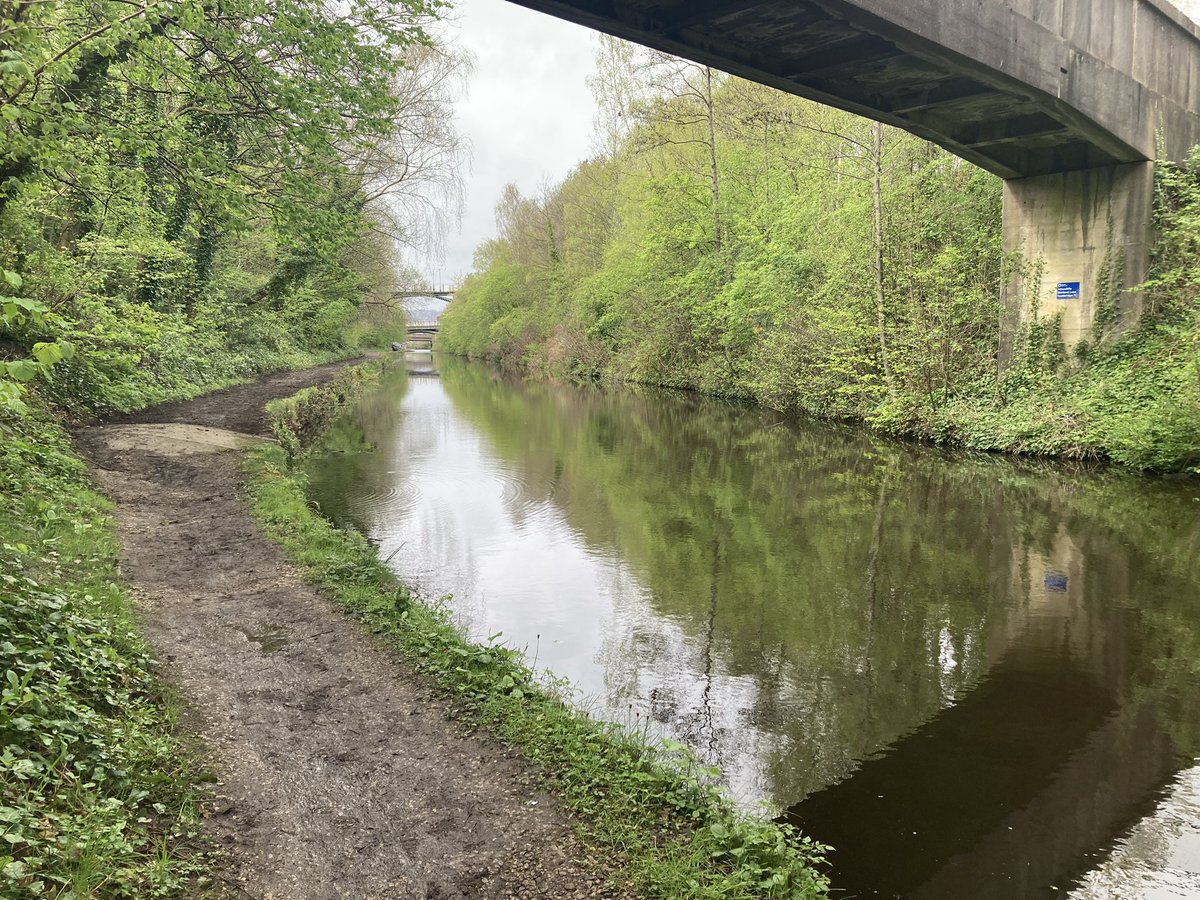 Another Wednesday. Another Blue Loop session, this week with @CRTYorkshireNE on the canal in #Attercliffe ‘twixt Staniforth Rd & Shirland Ln. More prep work on the towpath with a spring vibe. Early rain = early finish, lots done. Ta ‘Loopers! 👍 @RiverStewards #sheffieldissuper