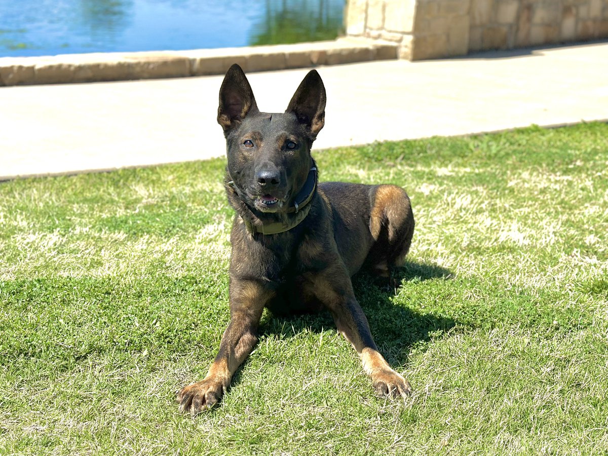 Chief Tracy Aaron tweet media