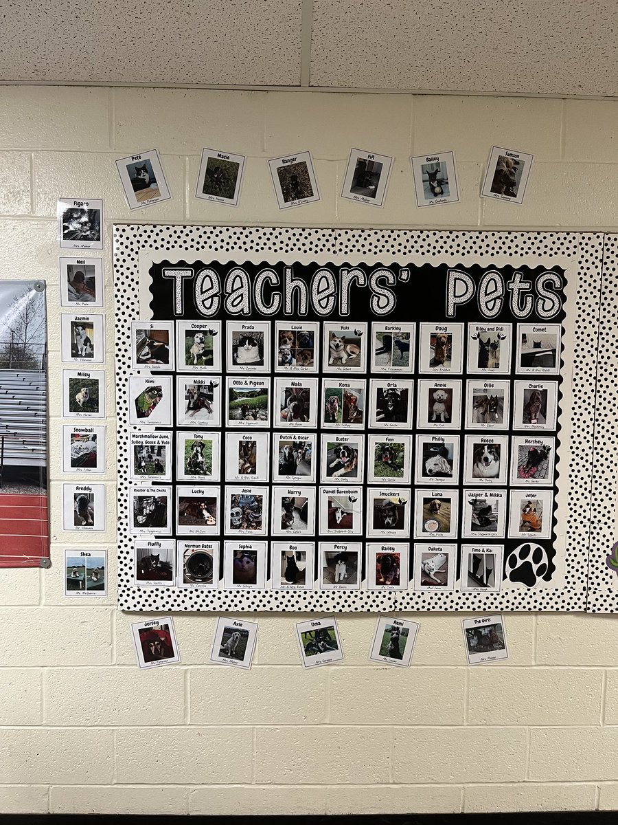 BRMS BOBCATS tweet media