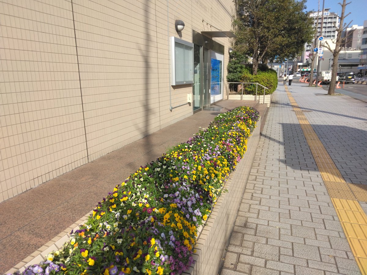 桜は少しずつ散ってきていますが、学校の花壇は色とりどりの花で埋め尽くされています😆

オープンキャンパスに参加の際は是非見てくださいね😊

新入生も入学して、学校も賑やかになりました✴
今年度一発目のオープンキャンパスももうすぐです。

今年度一発目は4月21日(日)となります😀