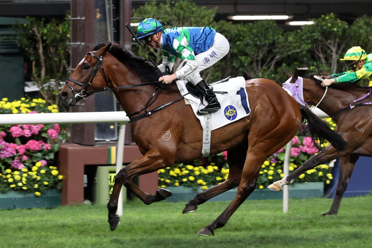 Milestone achieved! 🍾 @zpurton becomes the second jockey in Hong Kong racing history to reach 1⃣,7⃣0⃣0⃣ wins... 🤯 #HappyWednesday | #HKracing